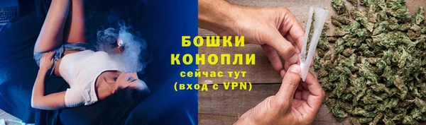 гидра Белоозёрский