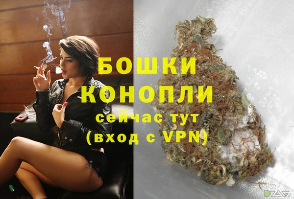 гидра Белоозёрский