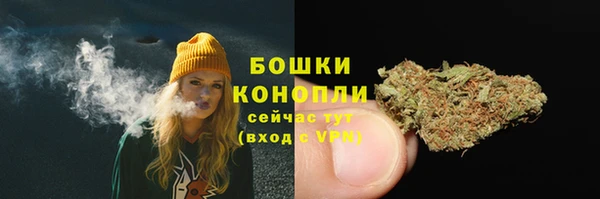 гидра Белоозёрский